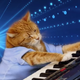 Illustration for article titled R.I.P. Keyboard Cat 2.0